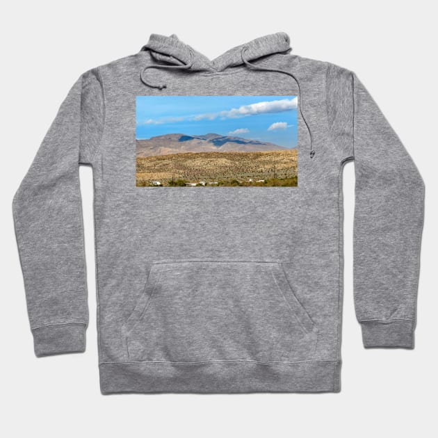 Anza Borrego Desert State Park Hoodie by supernova23